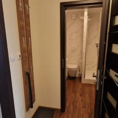 -c1 U Sjezdovky Apartmán